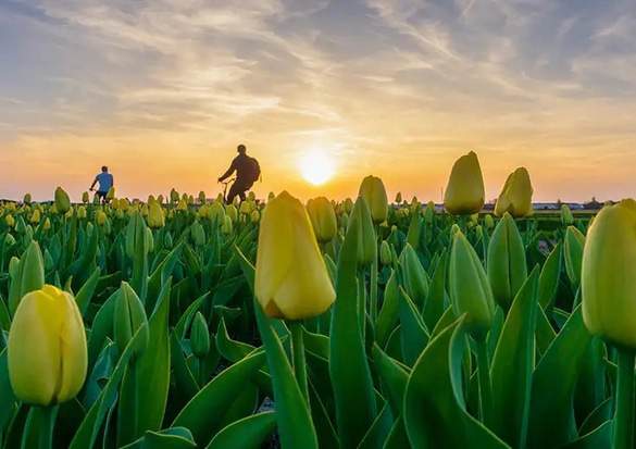 Oceania Cruises Shore Excursions 6.jpg